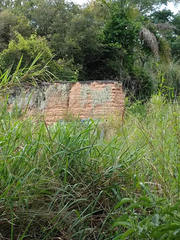 Ruinas da antiga senzala da Fazenda Santa Thereza da Serra. Fotografia de Bryan Gouveia. Local: Sítio Candinho, em Valinhos-SP, 2023 [17].
