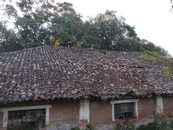 Antigo galpão da Fazenda Pinheiros. Fotografia de autoria anônima.Local: Fazenda Pinheiros, em Valinhos-SP, 2023 [7].
