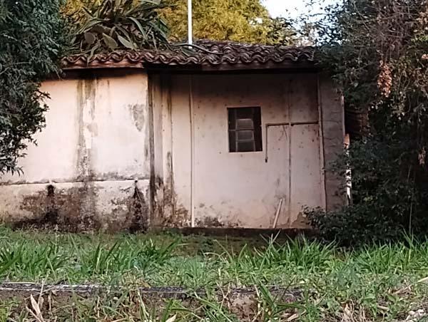 Fundos da Fazenda Pinheiros. Fotografia de autoria anônima.Local: Fazenda Pinheiros, em Valinhos-SP, 2023 [7].