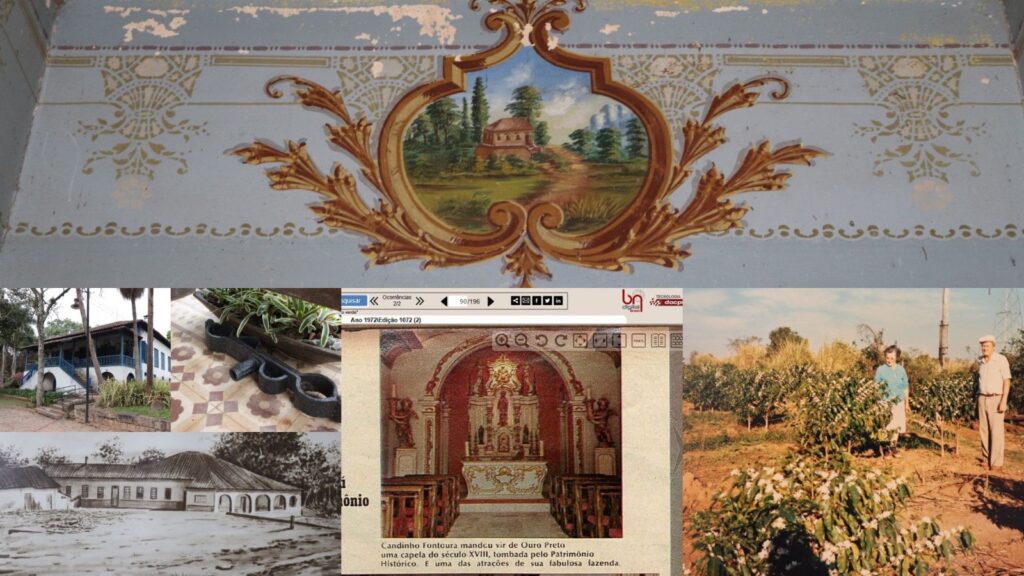 Resumo ilustrativo do artigo