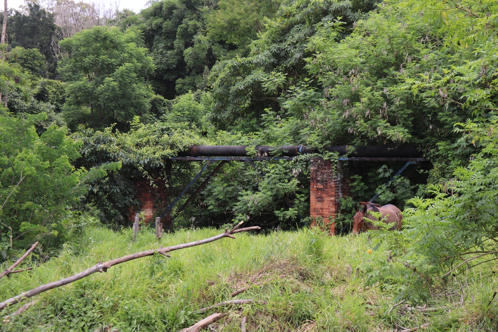 Aqueduto da Rocinha