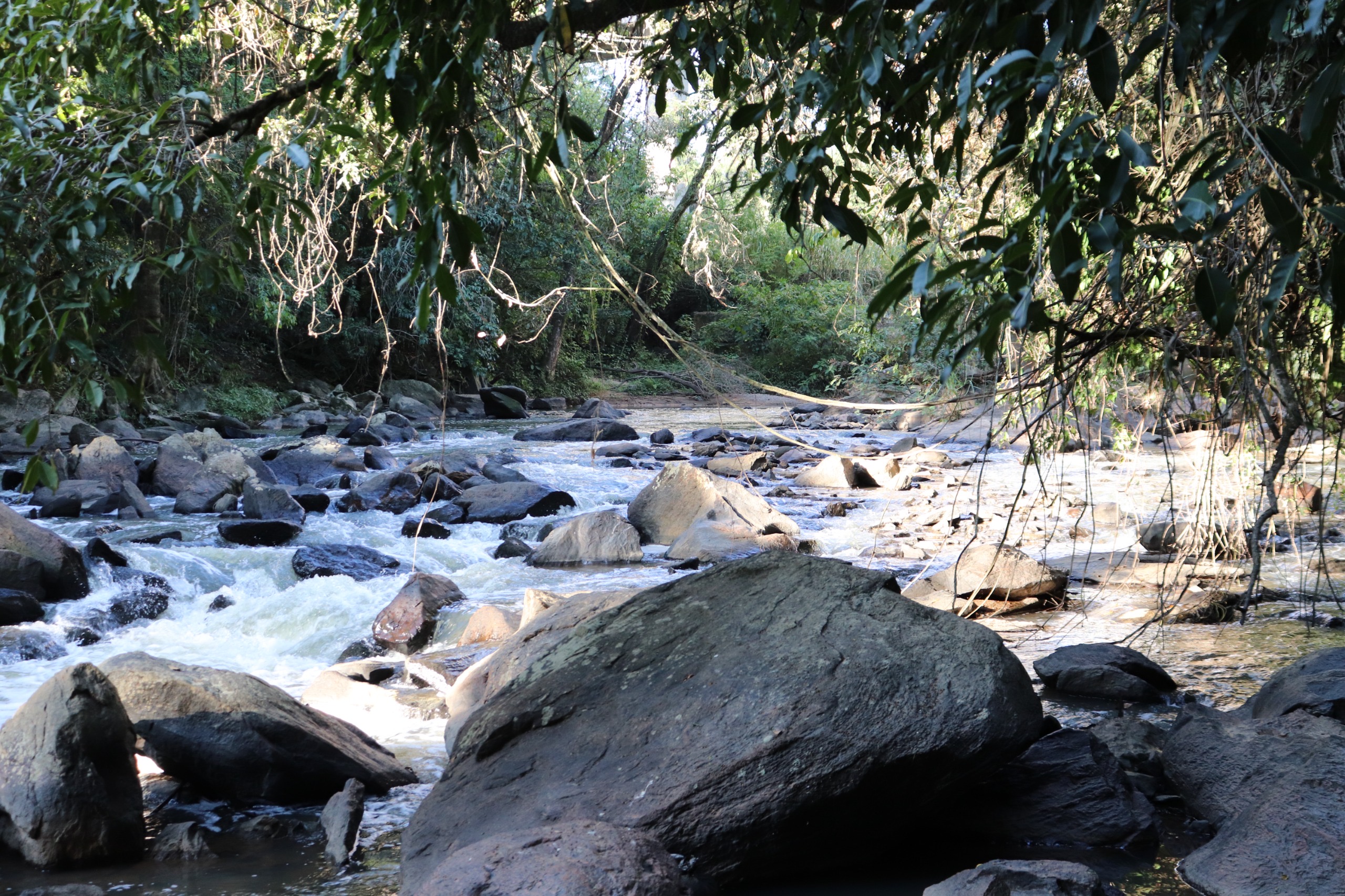 Rio Capivari